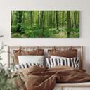 Lienzo panorama forestal 01