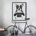 Plakat - Solti - Being normal is boring