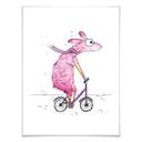 Poster Hagenmeyer - Lama avec le vélo