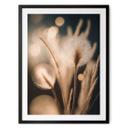 Póster Boho hierbas en luz dorada - Treechild