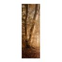 Póster de tela Bosque en la bruma matinal - Maier