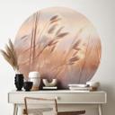 Vinilo decorativo Dune grass in the evening sun - Treechild - Redondo