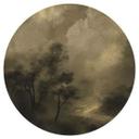 Vinilo decorativo Árboles en la bruma crepuscular - Hobday - Redondo
