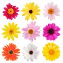 Blomster Sæt