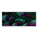 Køkken backsplash Farverige jungleplanter - Paksoylu