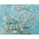 Papier peint photo van Gogh - Amandier en fleur