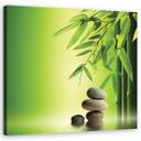 Canvasbillede, Zen bambus sten planter