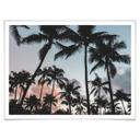 Póster Puesta de sol y palmeras