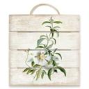 Cuadro de madera Ehret - Cistus rose - 40x41,5 cm