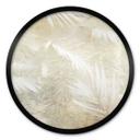Póster abstracto de hojas de palmera blancas - Kulik - Redondo
