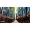 Fototapet - Colombo - Bambushule i Japan