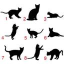 Katte