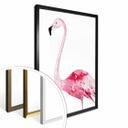 Póster Kvilis - Flamenco rosa 02