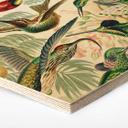 Hexagon Hout Haeckel - Kolibries