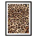 Plakat Vild leopard - Dyreprint - Tunaboylu