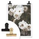 Plakat - Annie - Louise Bugnet Rose