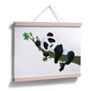 Plakat - Sovende Panda
