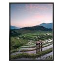 Póster Colombo - Terrazas de arroz en Vietnam