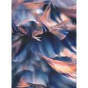 Fototapet Plumage