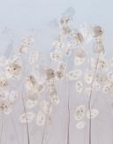 Fototapet blomster, blade blomstret natur, moderne i blåt