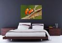 Poster autocollant - W - Couple de Coccinelles