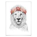 Plakat - Solti - Festival Lion