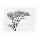 Póster Árbol minimalista en un paisaje tranquilo - Flour