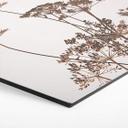 Hexagone - Alu-Dibond Herbes sauvages