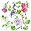 Muursticker Diverse Bloemen