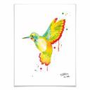 Póster Buttafly - Colibrí