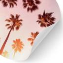 Vinilo decorativo "California Dreaming" con vista de palmeras - Hugonnard - Redondo