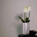 grafisk tapet, non-woven tapet BASIC i greige