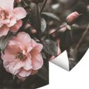 Fototapet - Rundt Annie - Rose Bush - vliesetapet/selvklæbende non-woven tapet