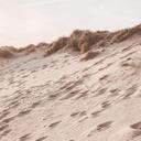 1X Studio - Fotomural de playas de arena