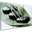 3 stykke lærredstryk Stones Foliage Nature Zen
