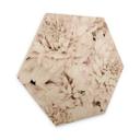 Hexagone - Bois 1X Studio - Reine marguerite abricot 