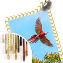 Póster Colombo - Loro en vuelo