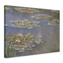 Lienzo Monet - Nenúfares 1905