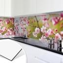 Revêtement pour cuisine - Alu-Dibond - Fleurs de cerisier
