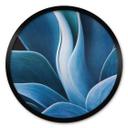 Póster Wechsler - Plantas Naturaleza Muerta Agave - Redondo
