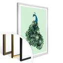 Plakat - Loose - Monstera Bird