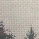 fototapet Designwalls i hvidt og grønt non-woven tapet Misty Forest landskab træ