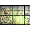 Livingwalls Fototapet Walls by Patel 2 meadow 2