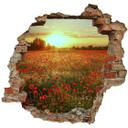 3D Wallsticker valmuemark i solnedgang