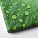 Foto en lienzo - Corazón de gotas de agua sobre una hoja verde