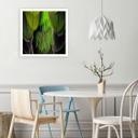 Canvasbillede, Fjer natur
