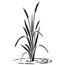 Wallsticker Siv i vandet