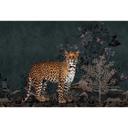 Mystisk jungle tapet - leopard non-woven tapet
