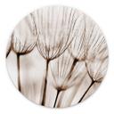 Tableau sur alu-Dibond rond Parapluie d'aviateur