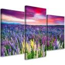 3 stykke lærredsprint, lavendel naturblomster lilla